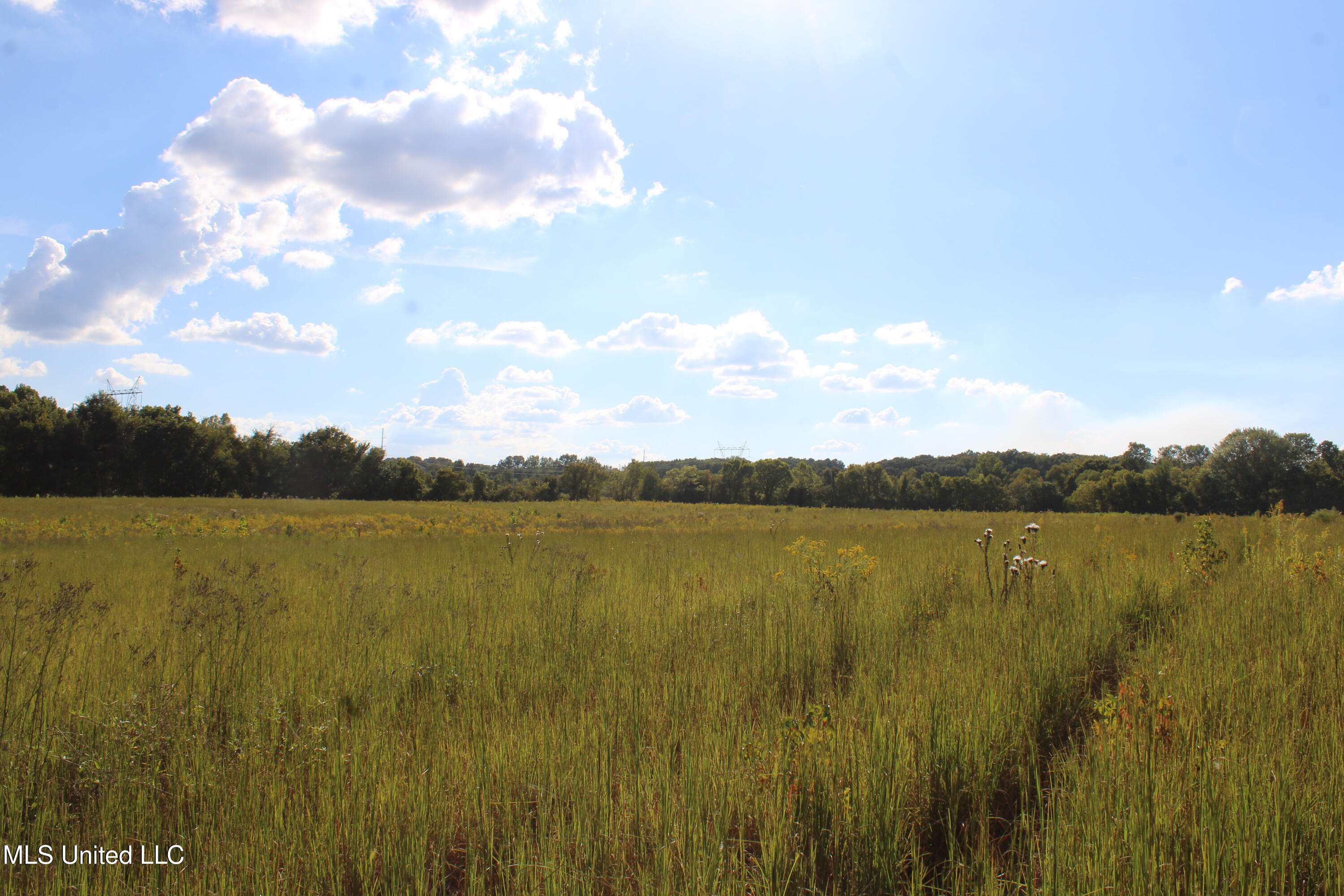 5300 Desoto Road Walls, MS 38680 - Photo 19 of 27 IMG_6739