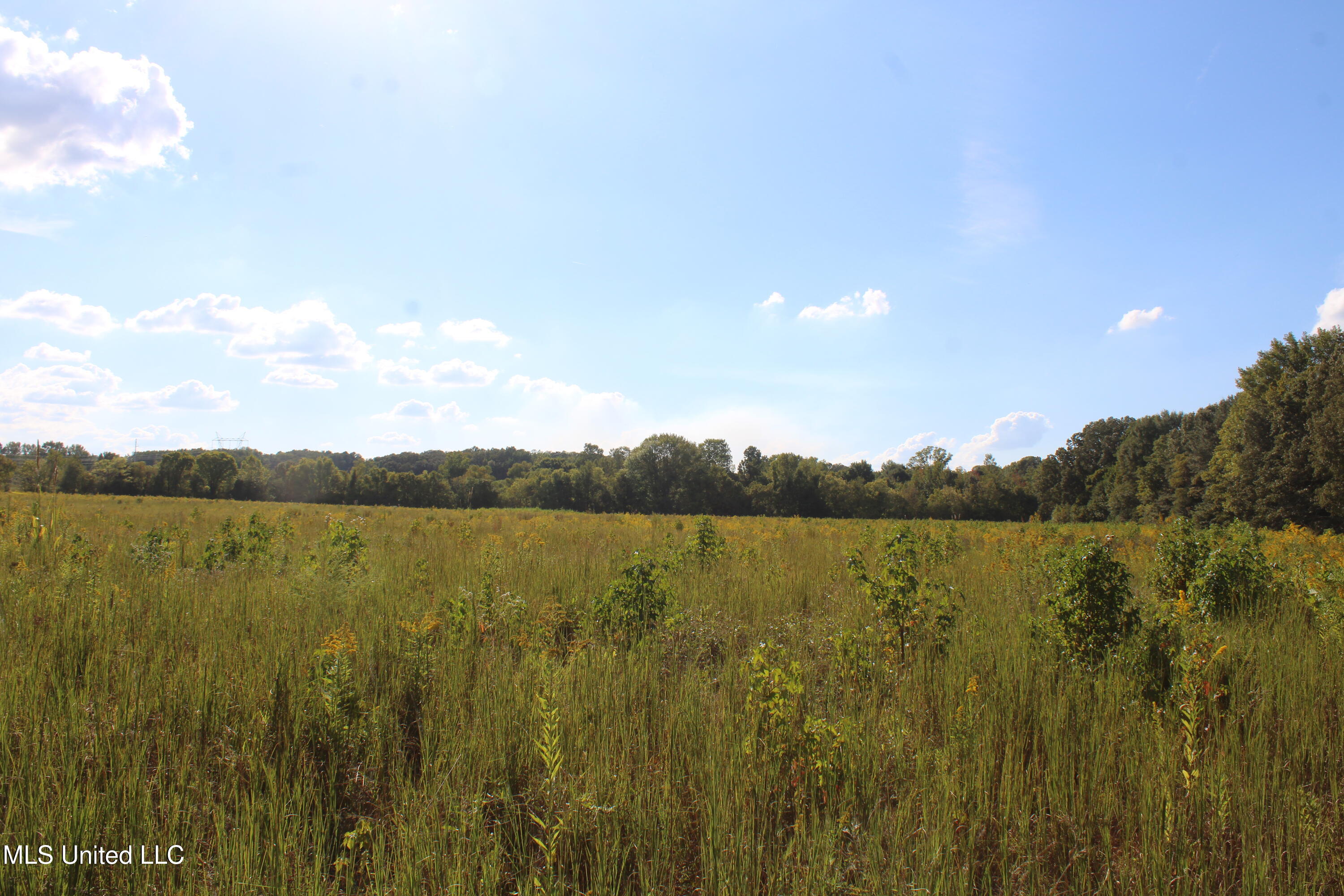 5300 Desoto Road Walls, MS 38680 - Photo 20 of 27 IMG_6740