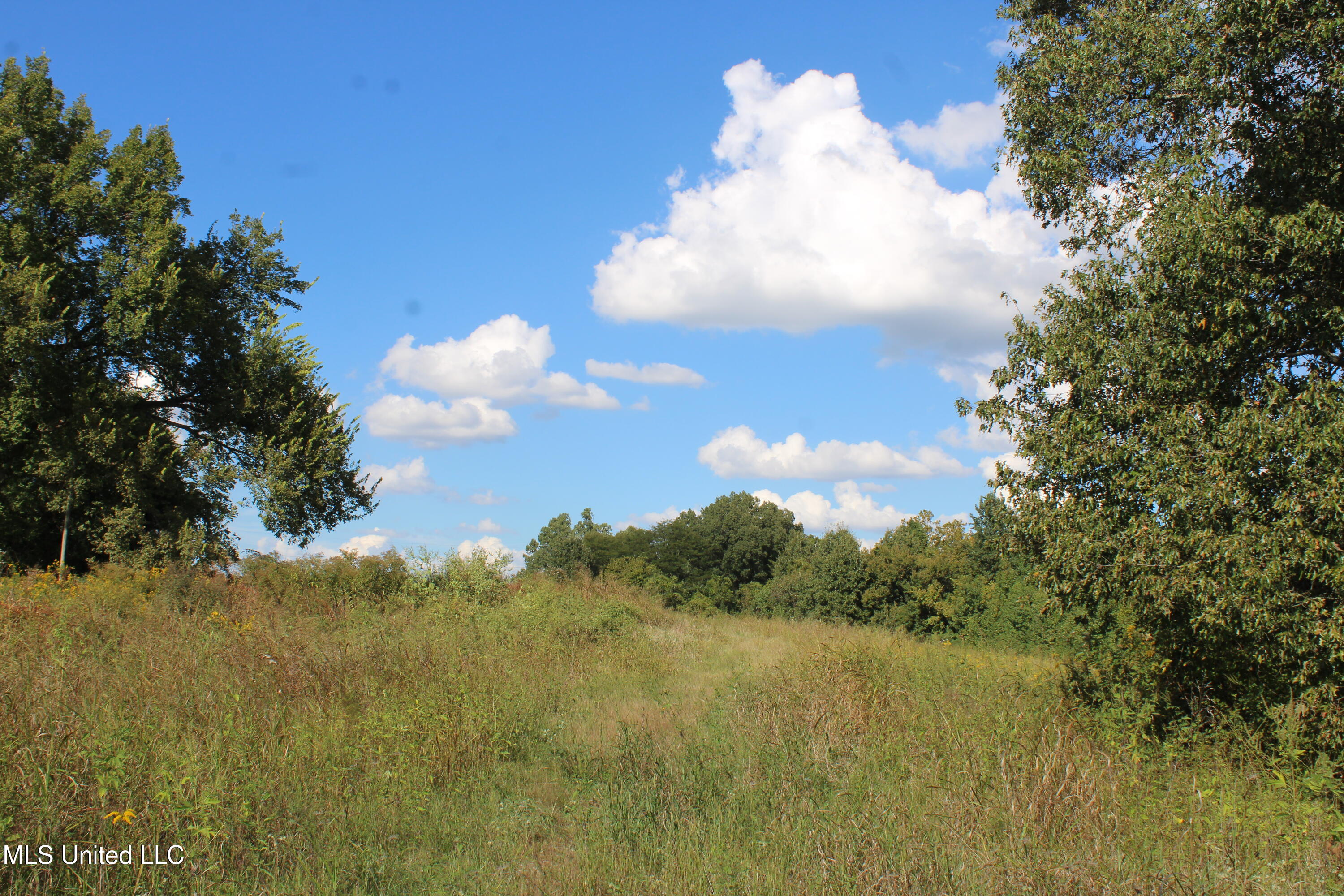 5300 Desoto Road Walls, MS 38680 - Photo 2 of 27 IMG_6722