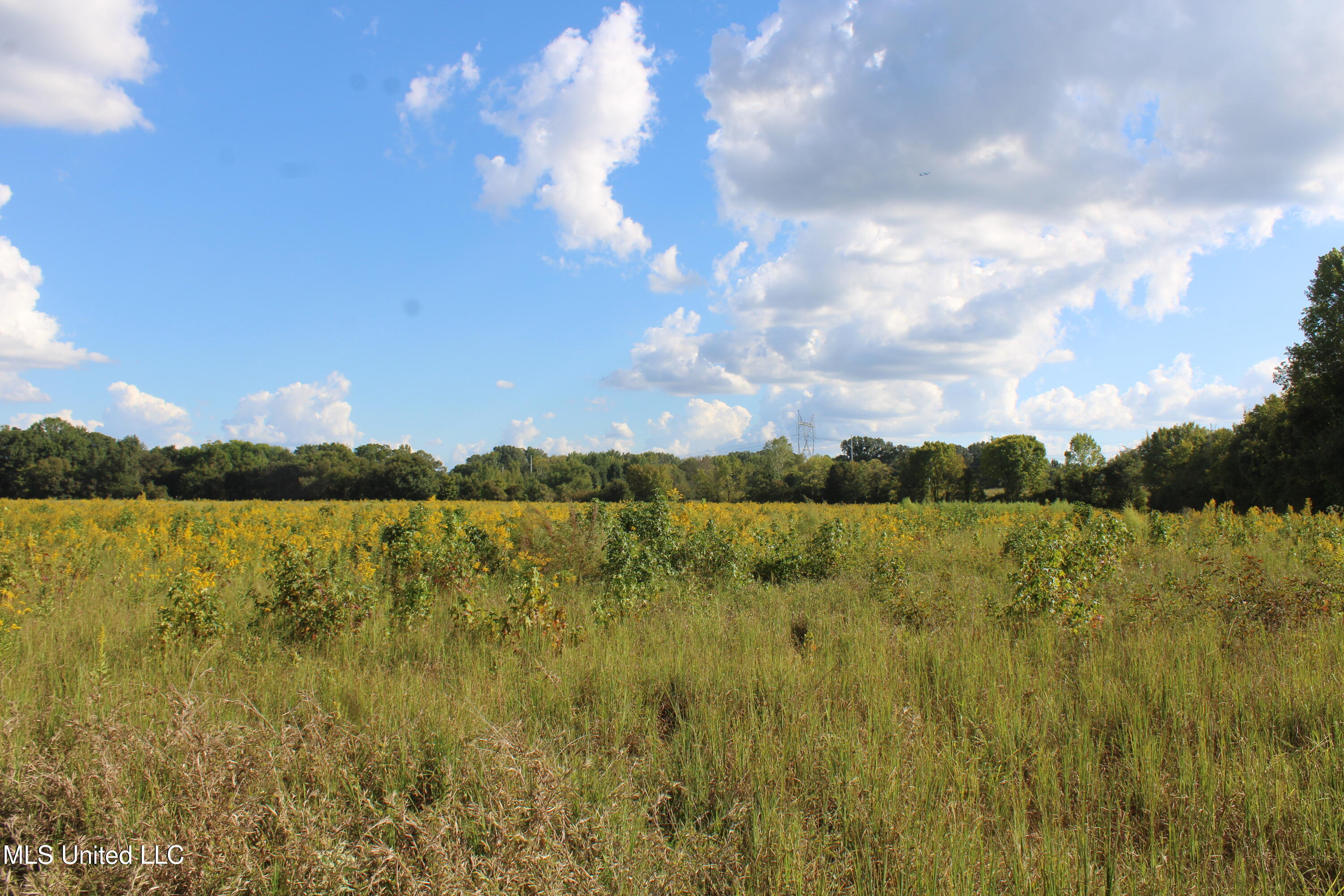 5300 Desoto Road Walls, MS 38680 - Photo 21 of 27 IMG_6742