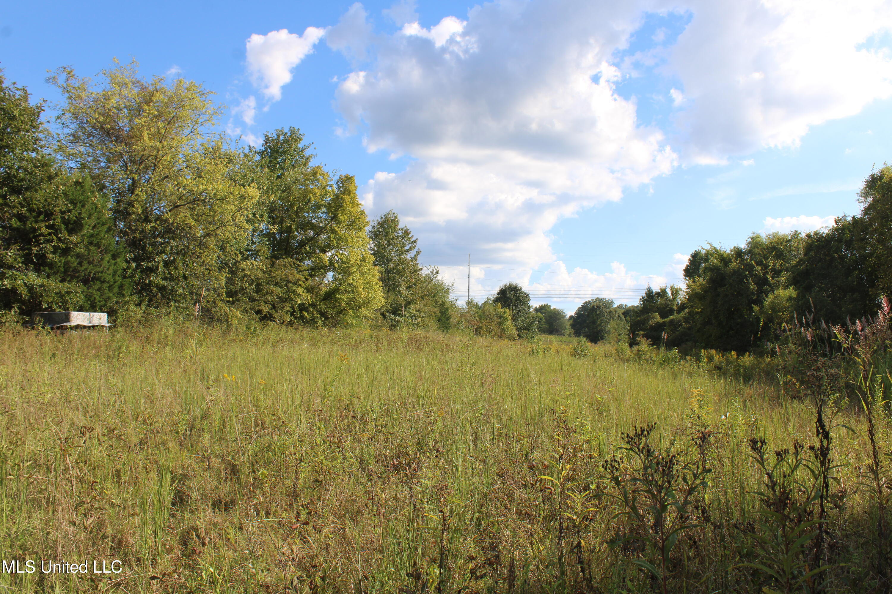 5300 Desoto Road Walls, MS 38680 - Photo 22 of 27 IMG_6743