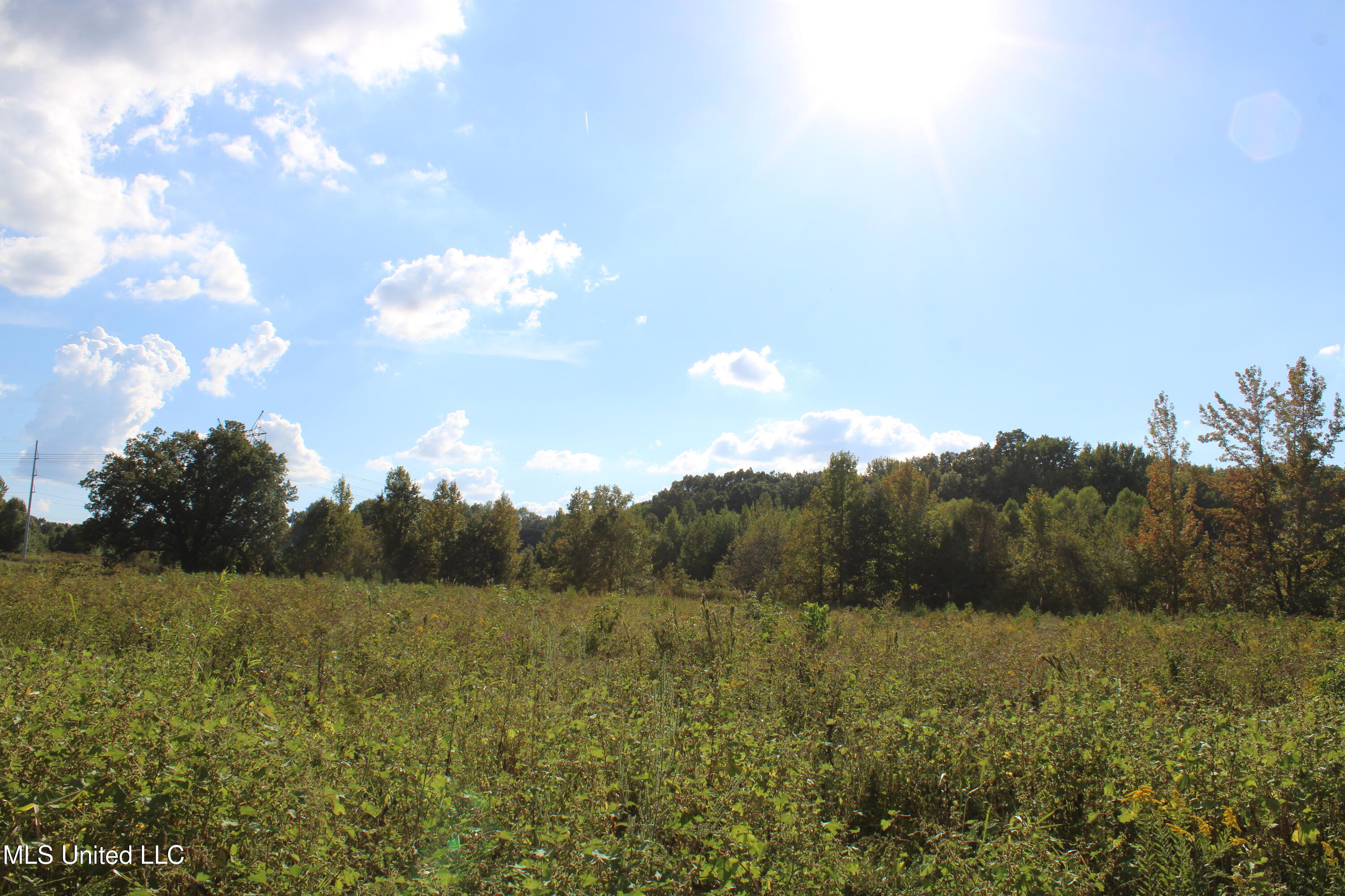 5300 Desoto Road Walls, MS 38680 - Photo 23 of 27 IMG_6744