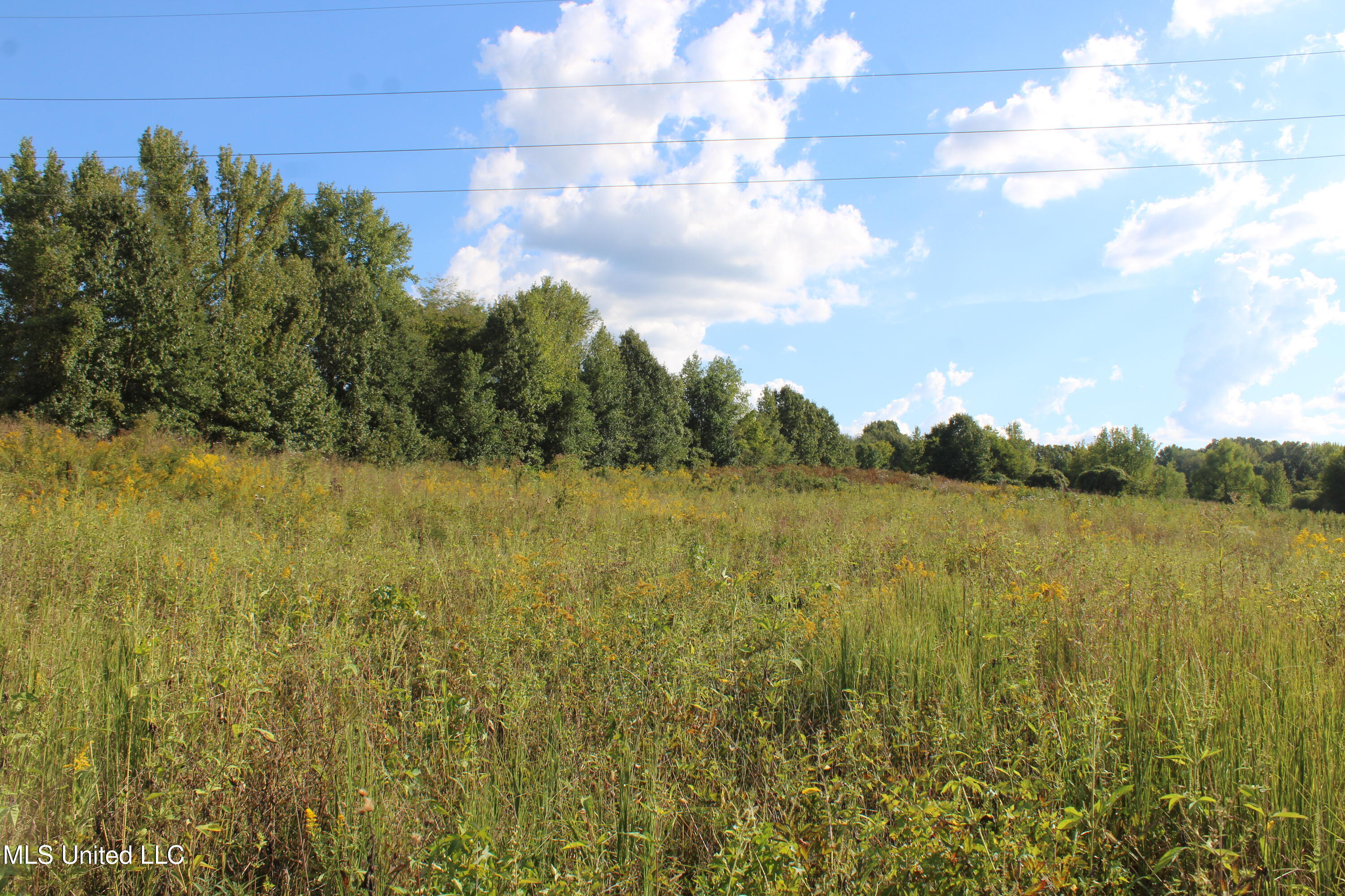 5300 Desoto Road Walls, MS 38680 - Photo 24 of 27 IMG_6745
