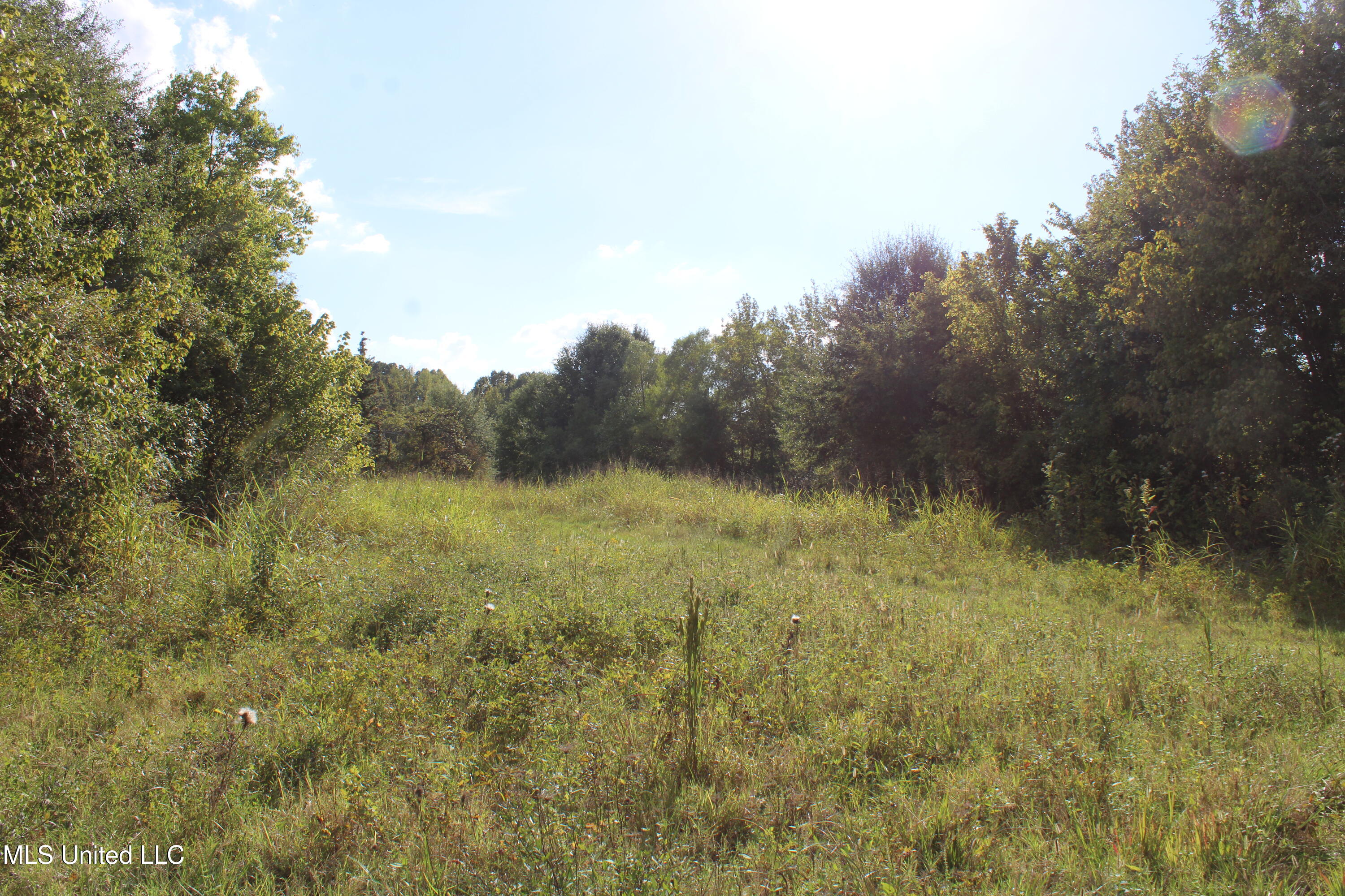 5300 Desoto Road Walls, MS 38680 - Photo 25 of 27 IMG_6746
