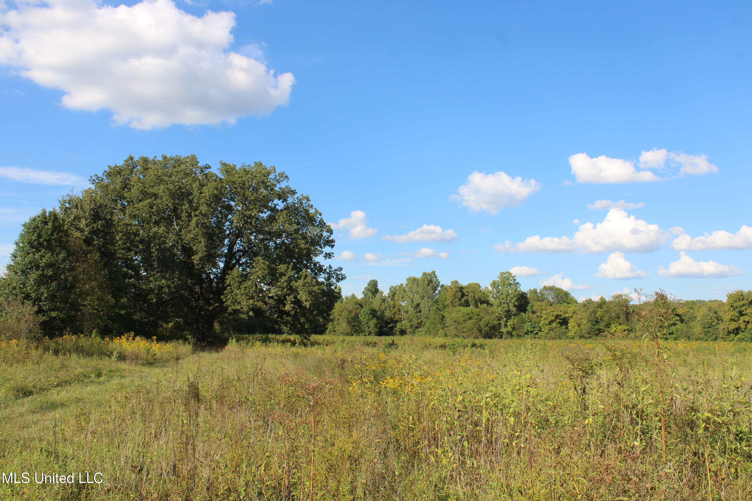5300 Desoto Road Walls, MS 38680 - Photo 26 of 27 IMG_6747