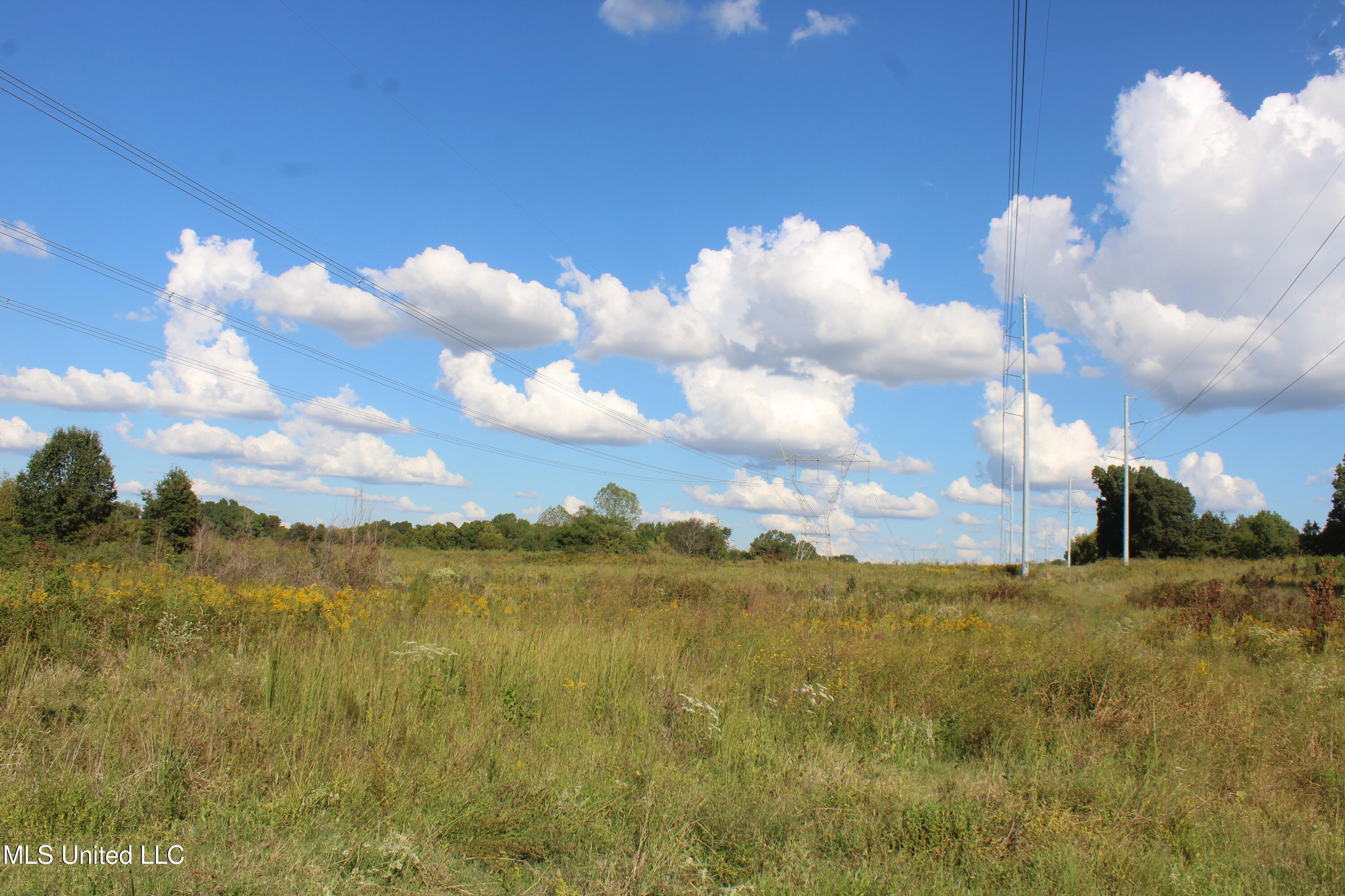 5300 Desoto Road Walls, MS 38680 - Photo 27 of 27 IMG_6748