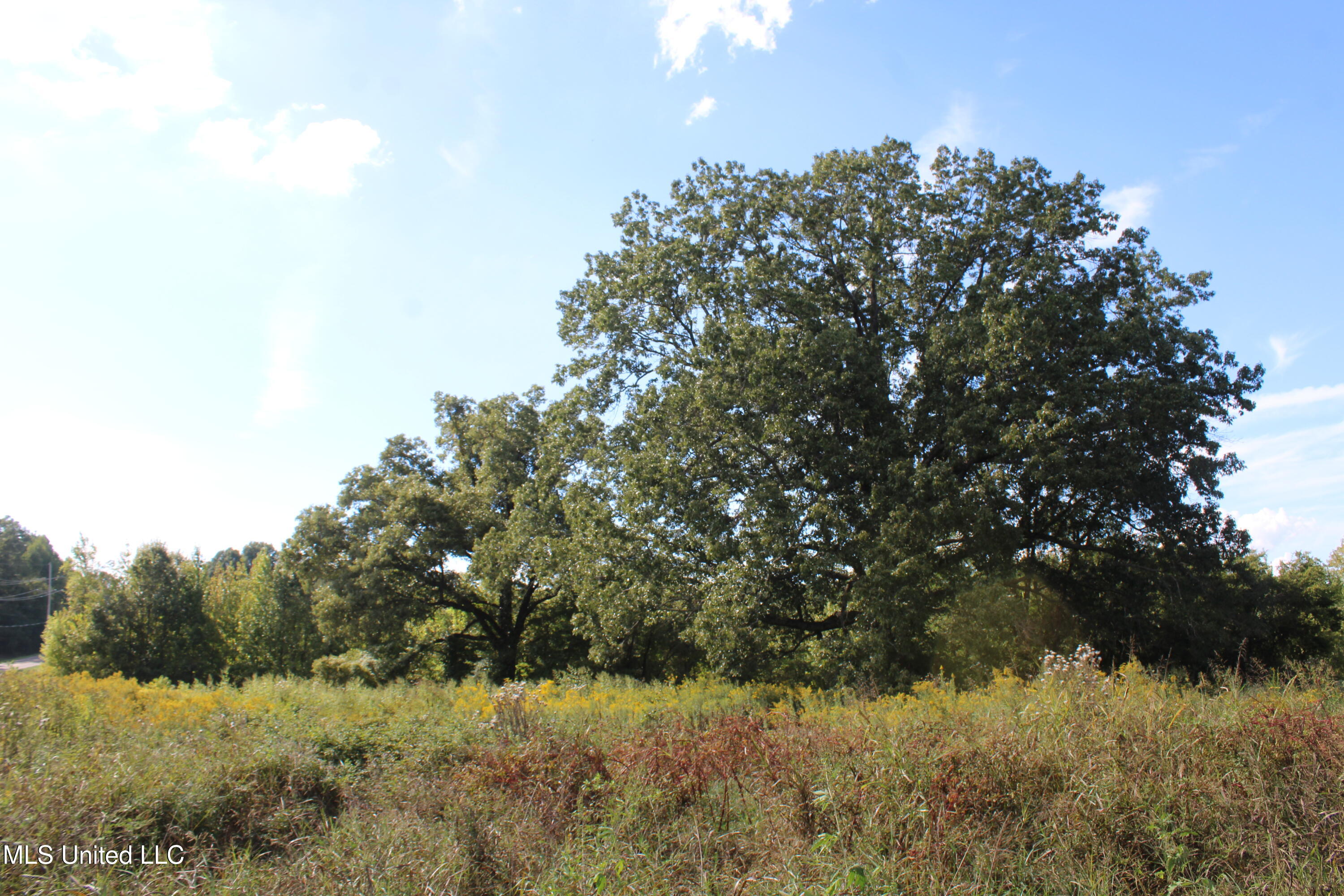 5300 Desoto Road Walls, MS 38680 - Photo 5 of 27 IMG_6725