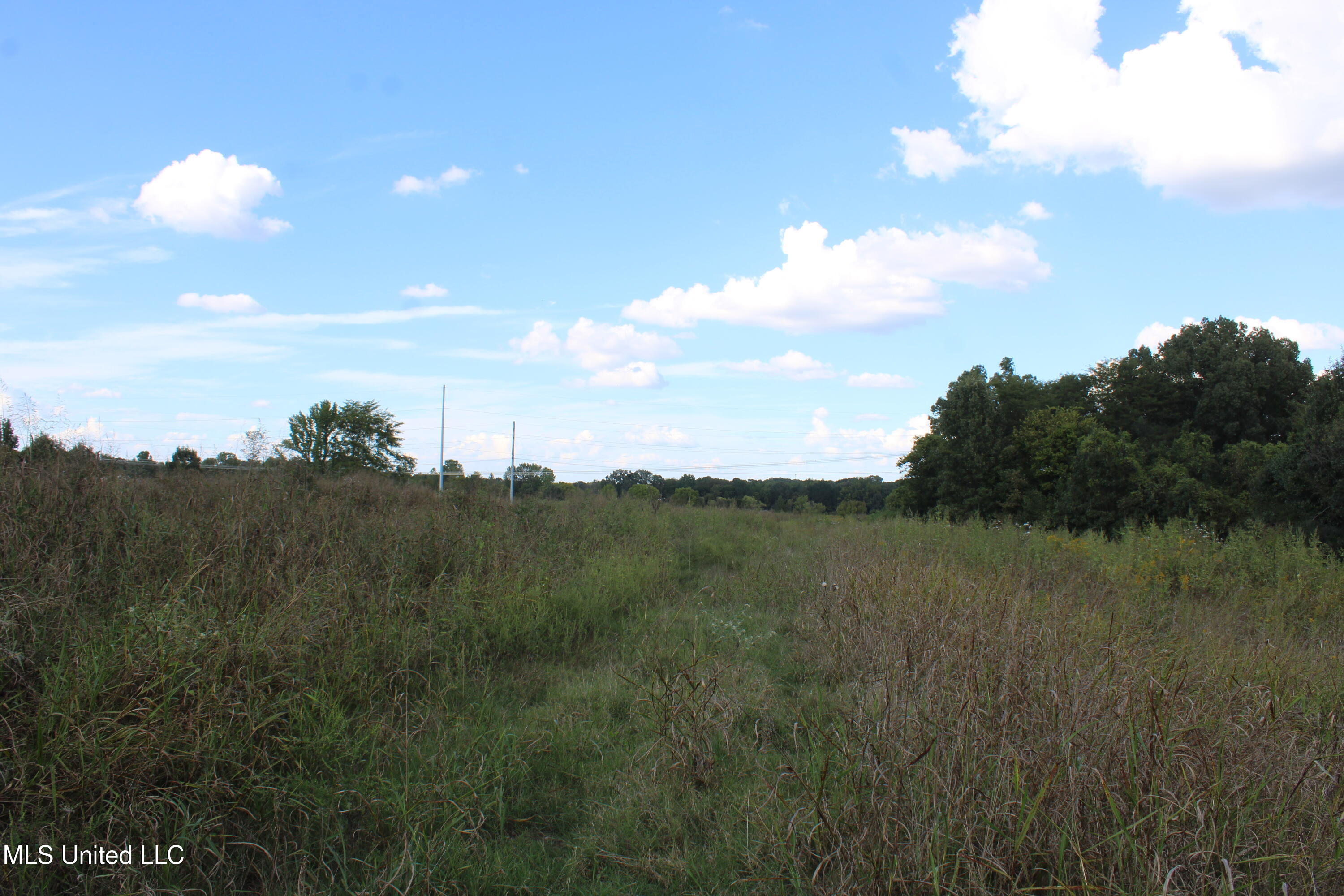 5300 Desoto Road Walls, MS 38680 - Photo 6 of 27 IMG_6726