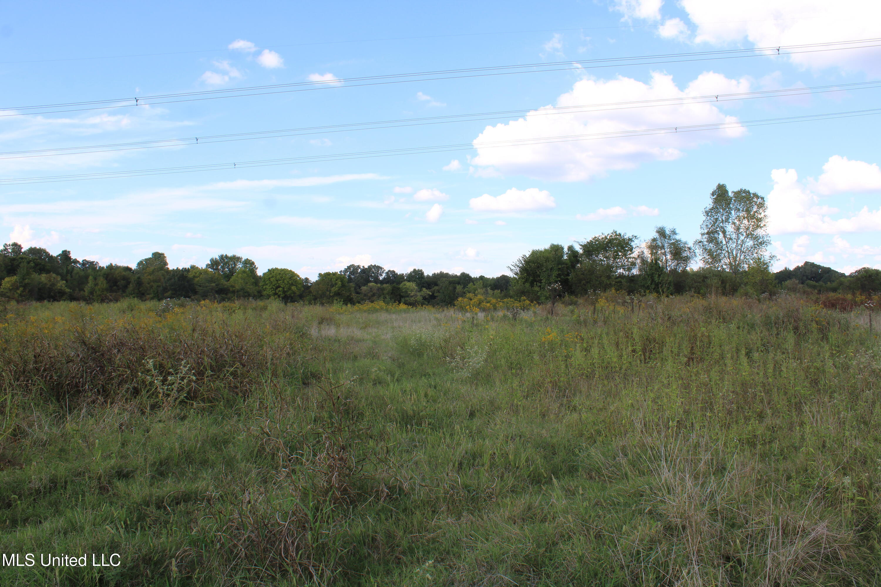 5300 Desoto Road Walls, MS 38680 - Photo 7 of 27 IMG_6727