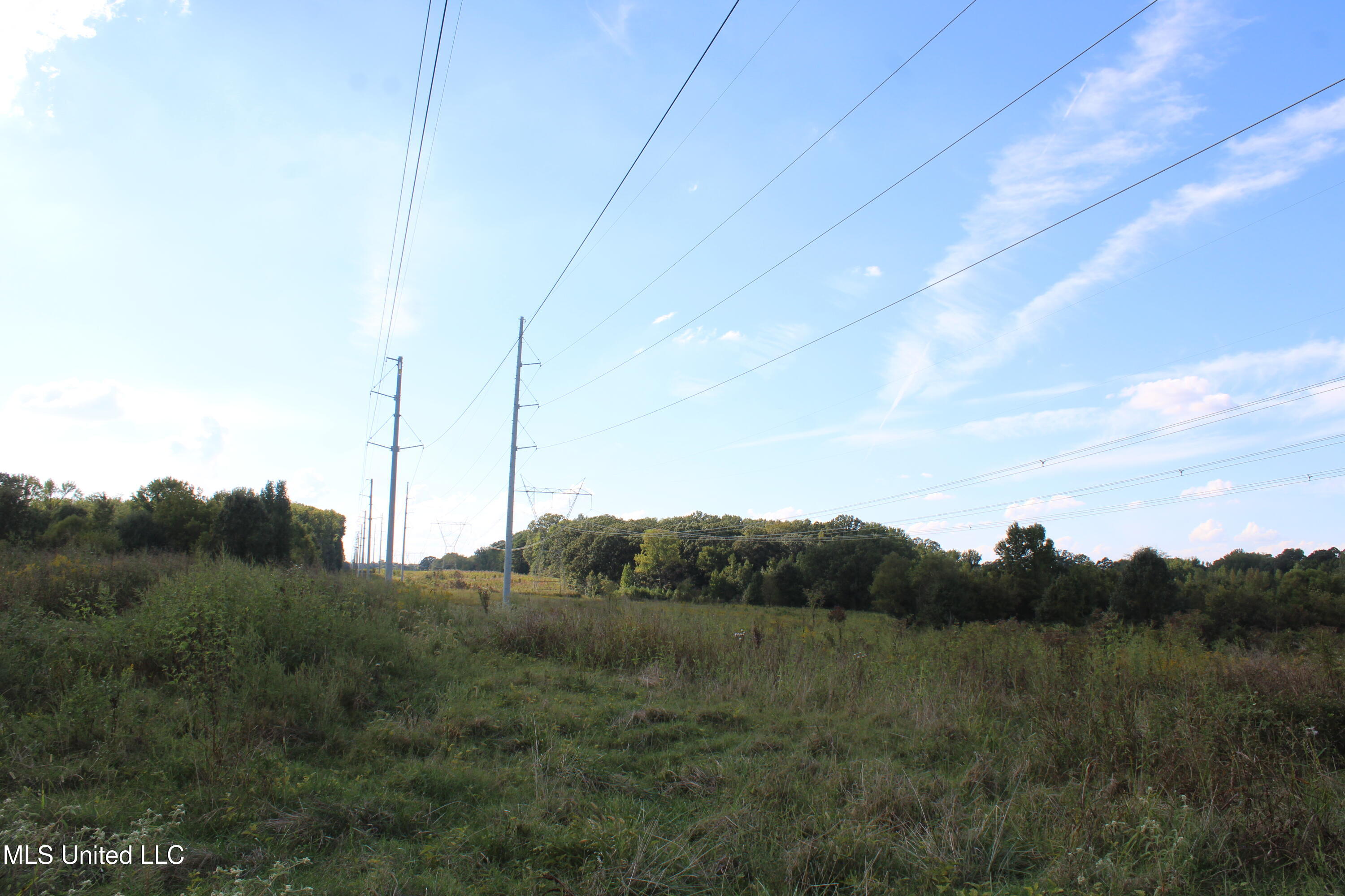 5300 Desoto Road Walls, MS 38680 - Photo 8 of 27 IMG_6728