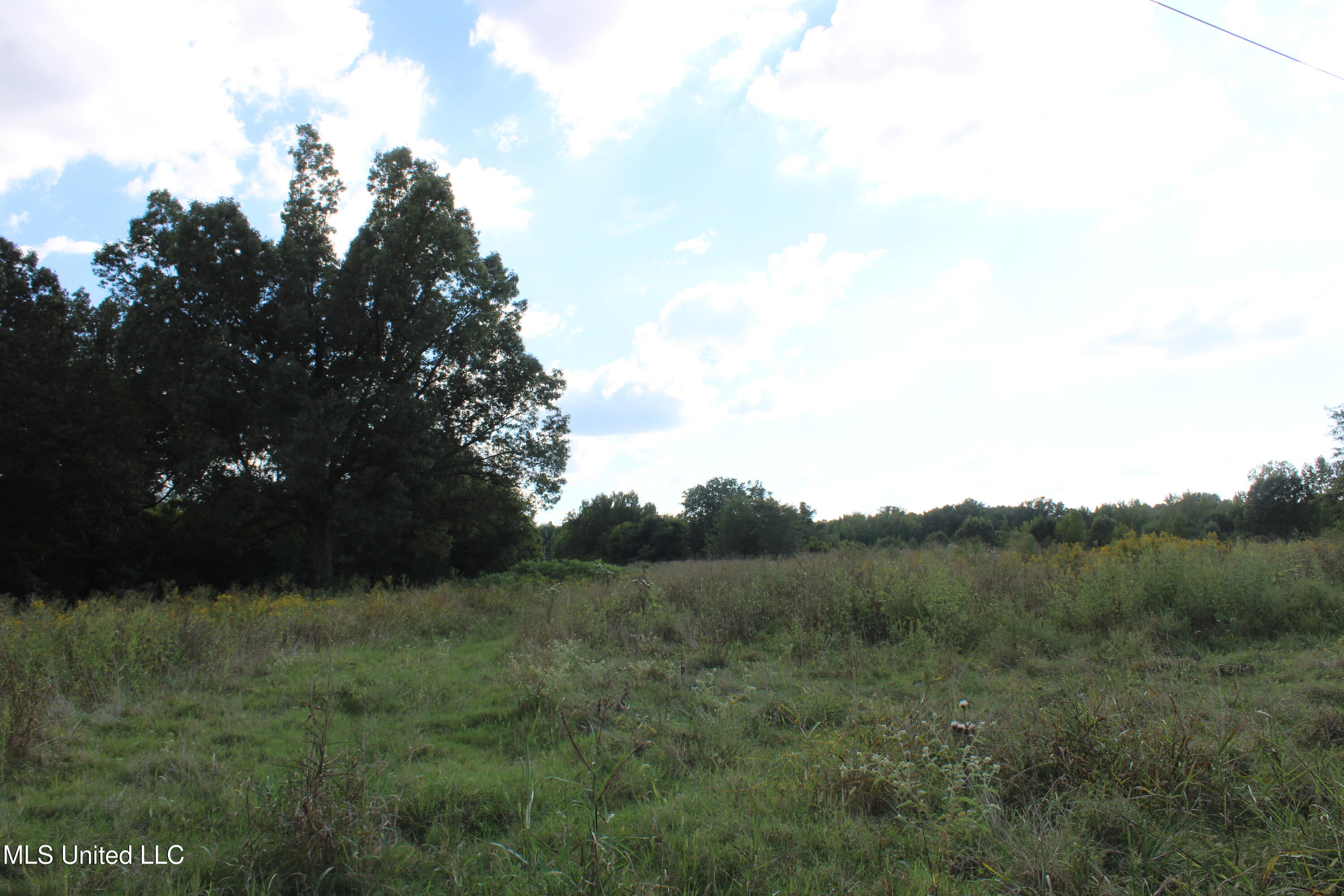 5300 Desoto Road Walls, MS 38680 - Photo 9 of 27 IMG_6729