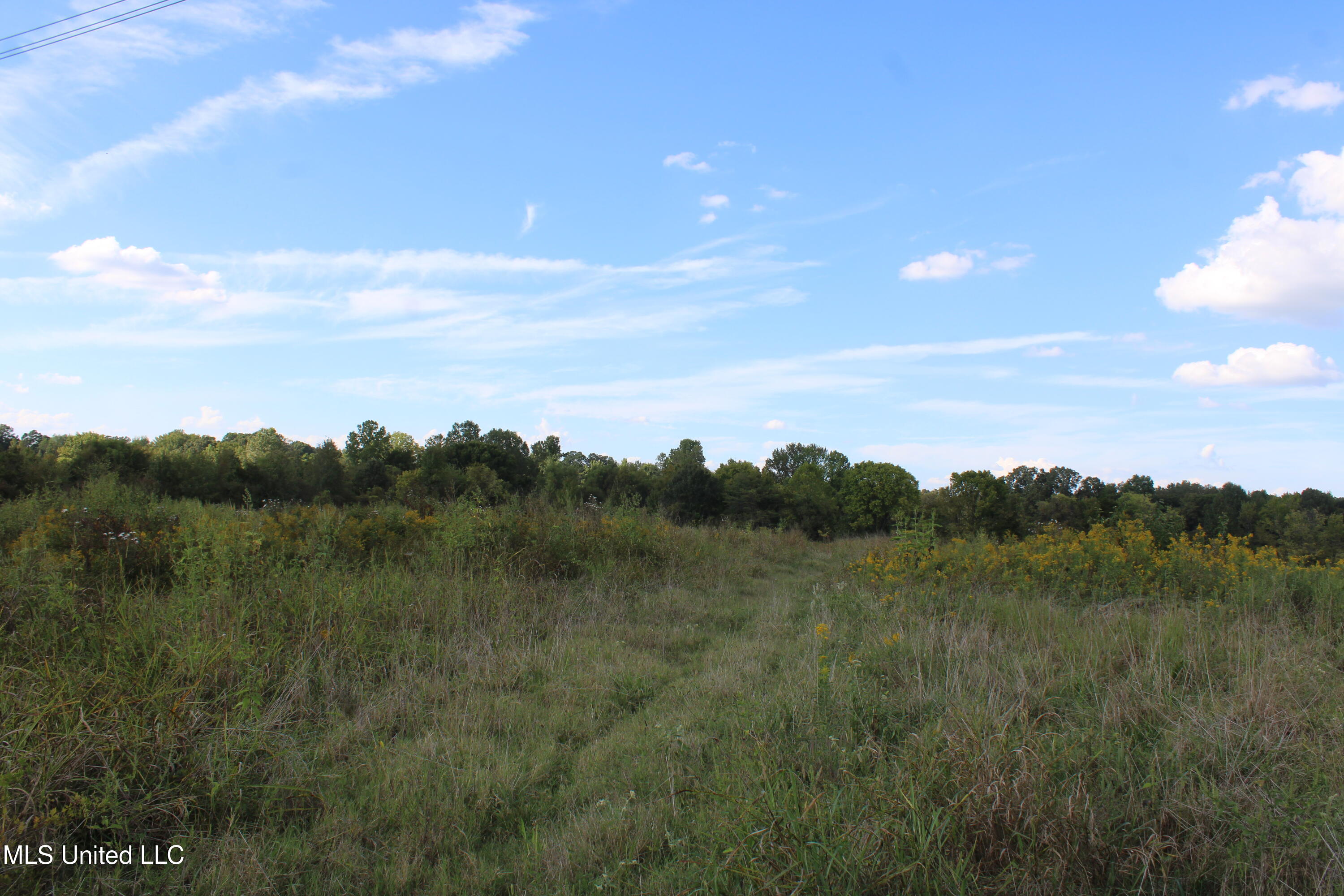 5300 Desoto Road Walls, MS 38680 - Photo 10 of 27 IMG_6730