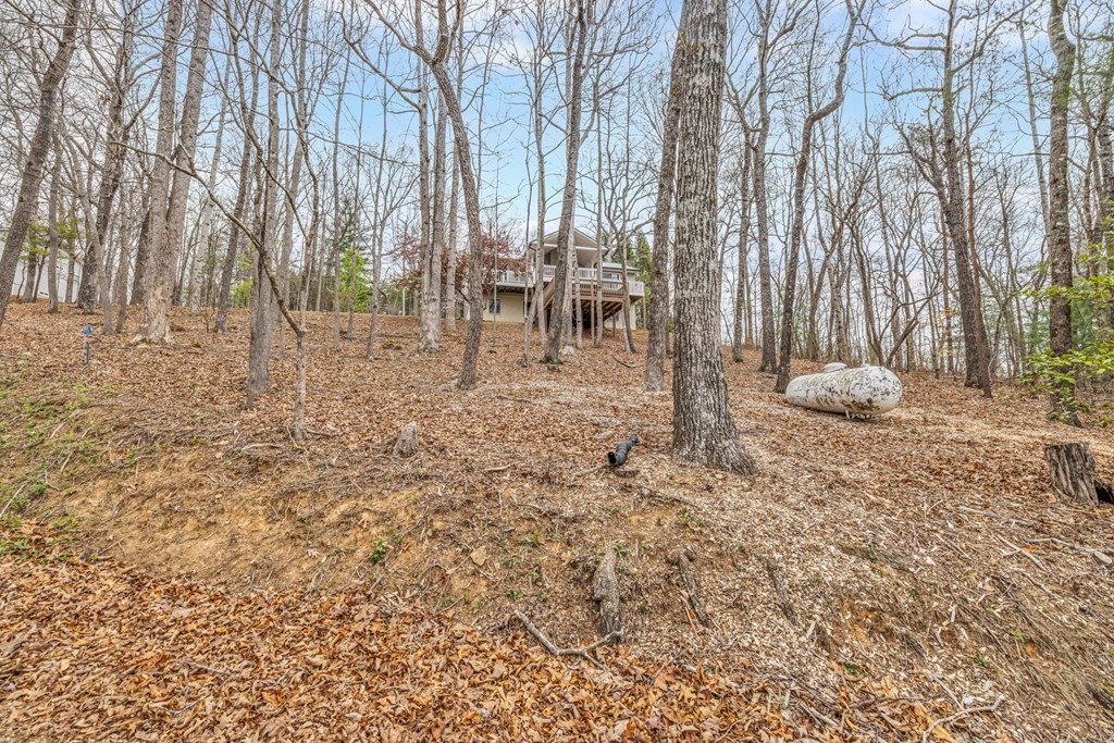 688 McRidge Road Hiawassee, GA 30546 - Photo 3 of 85 Gallery Image 3