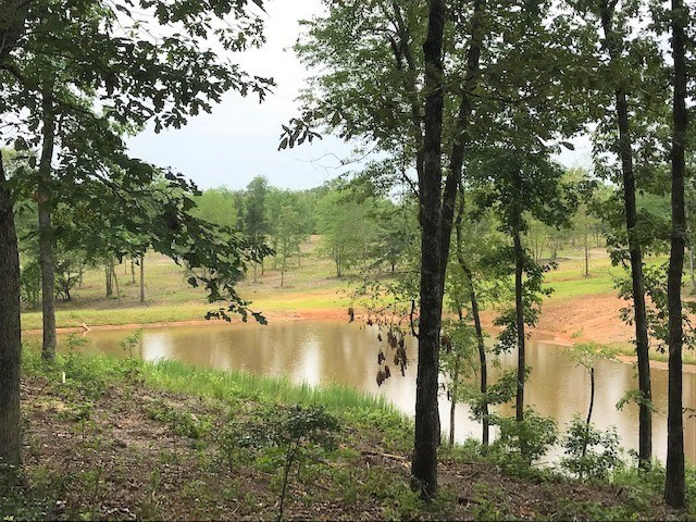 Parcel B Old Dibble Road Aiken, SC 29803 - Photo 15 of 17