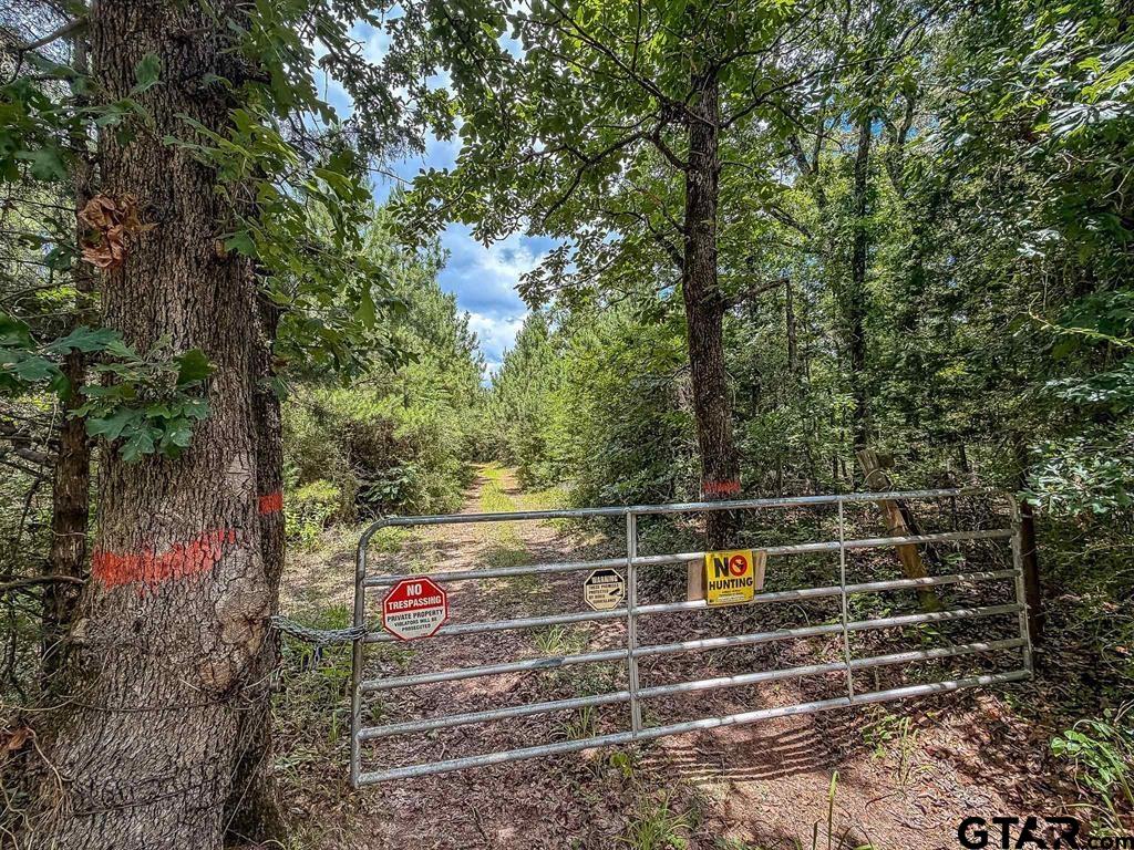 599 Jones Farm Road Avinger, TX 75630 - Photo 11 of 19