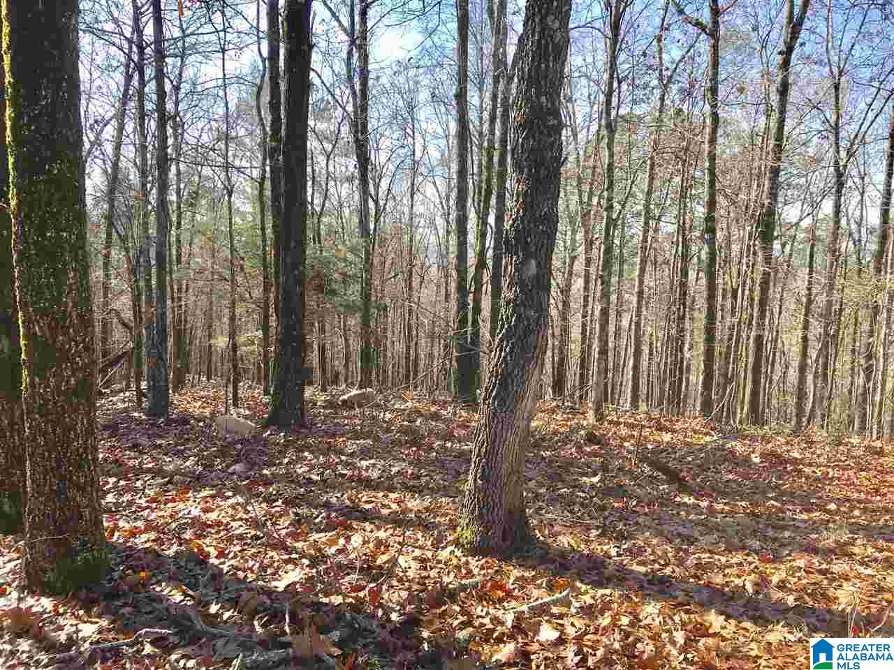141 Forest Ridge Road Alabaster, AL 35114 - Photo 29 of 30