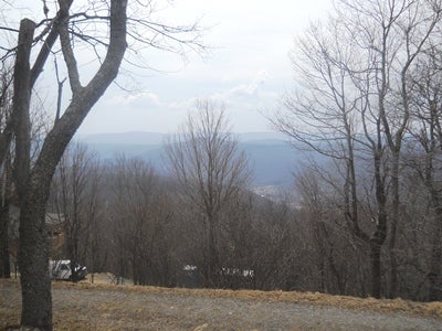 84 South Westridge Road Slatyfork, WV 26209 - Photo 5 of 6 Gallery Image 5