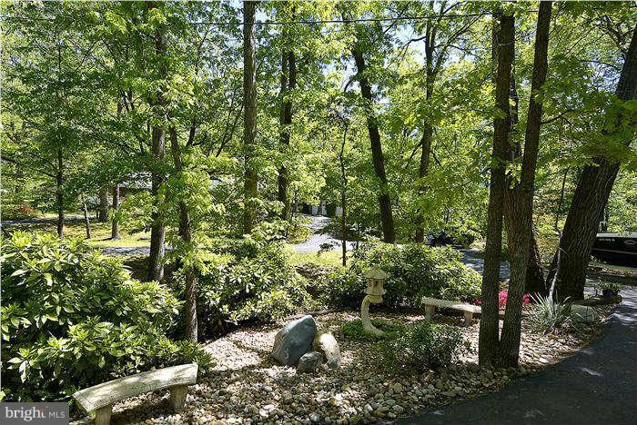 6437 Melia Street Springfield, VA 22150 - Photo 3 of 30 Beautiful landscaping
