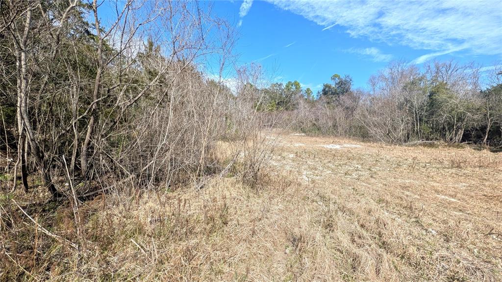 13550 Northwest Old Fannin Road Chiefland, FL 32626 - Photo 15 of 16 a view of a yard with trees in front of it