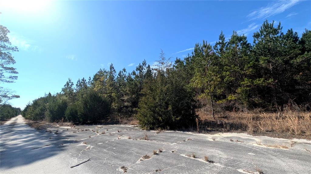 13550 Northwest Old Fannin Road Chiefland, FL 32626 - Photo 5 of 16 a view of a yard with wooden fence
