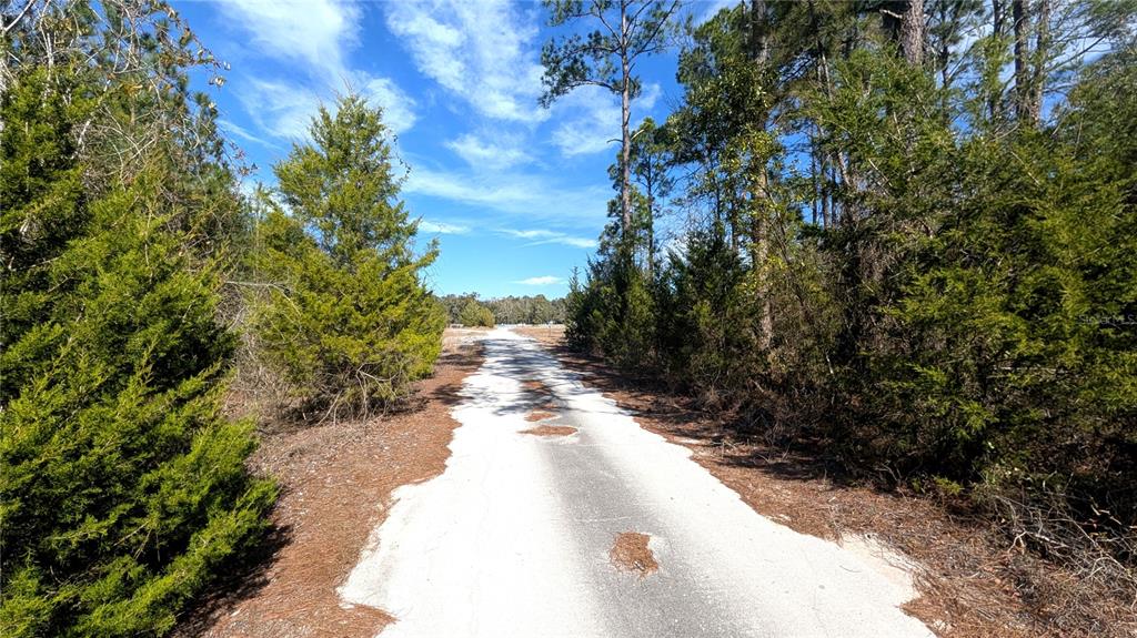 13550 Northwest Old Fannin Road Chiefland, FL 32626 - Photo 6 of 16