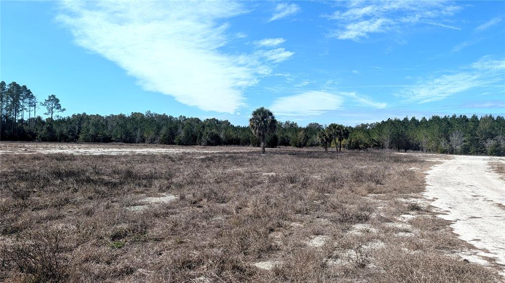 13550 Northwest Old Fannin Road Chiefland, FL 32626 - Photo 10 of 16 a view of a field with trees in background