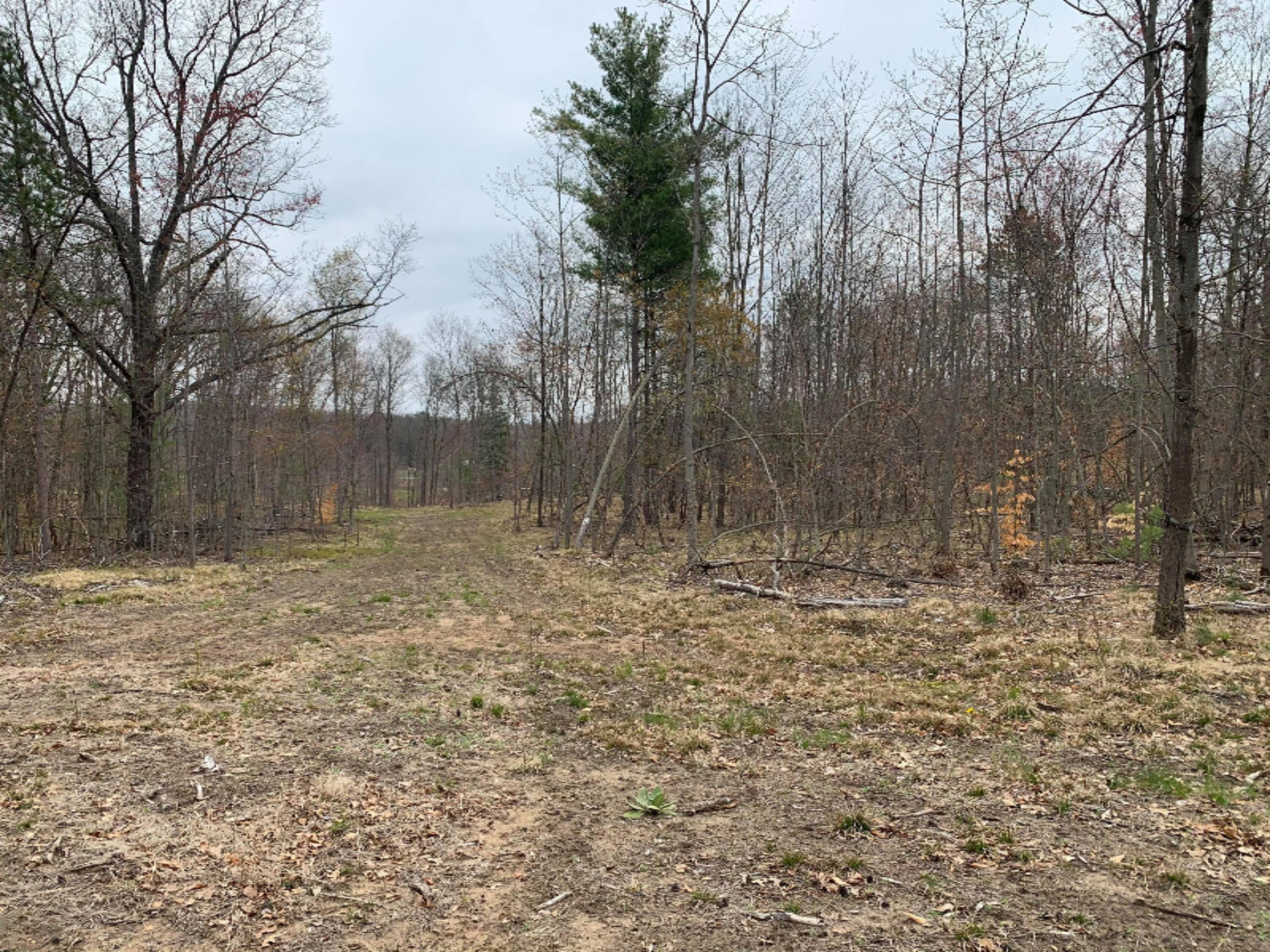 9 9 Mile Road Stanwood, MI 49346 - Photo 11 of 12 176738694_462480851683993_44874752776321