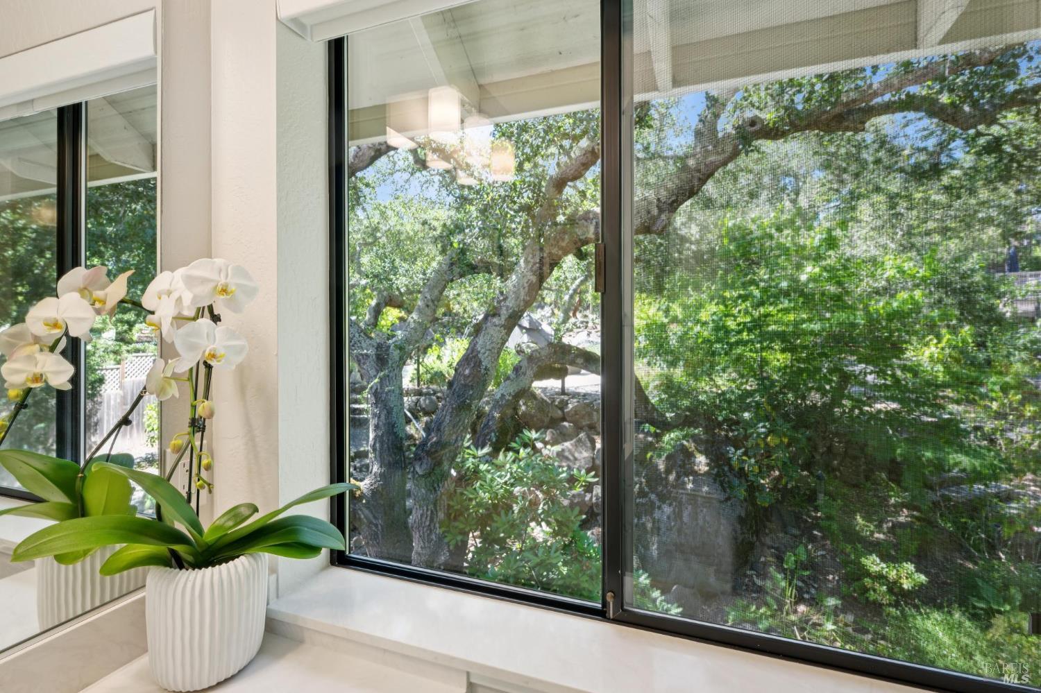 3335 Scrub Oak Drive Santa Rosa, CA 95404 - Photo 53 of 79