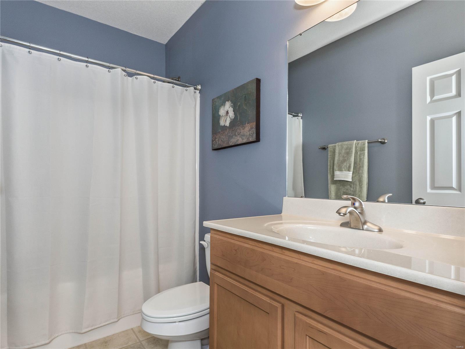 136 Briar Ridge Maryville, IL 62062 - Photo 39 of 44 Gallery Image 39