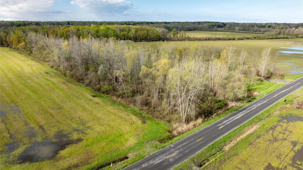 16126 Telegraph Road Murray, NY 14470 - Photo 2 of 50