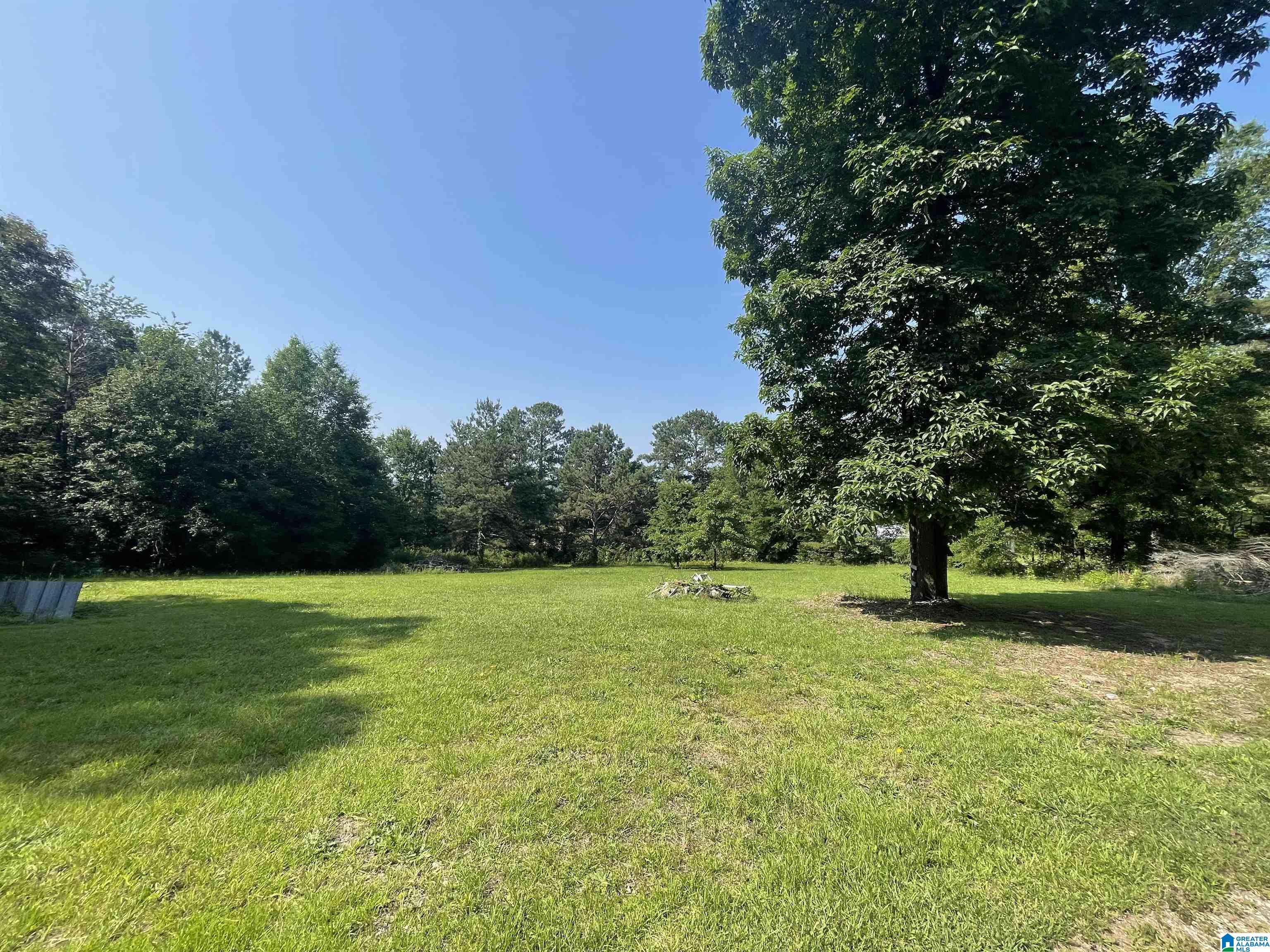0 Old Choccolocco Road, Unit 1 Anniston, AL 36207 - Photo 2 of 8