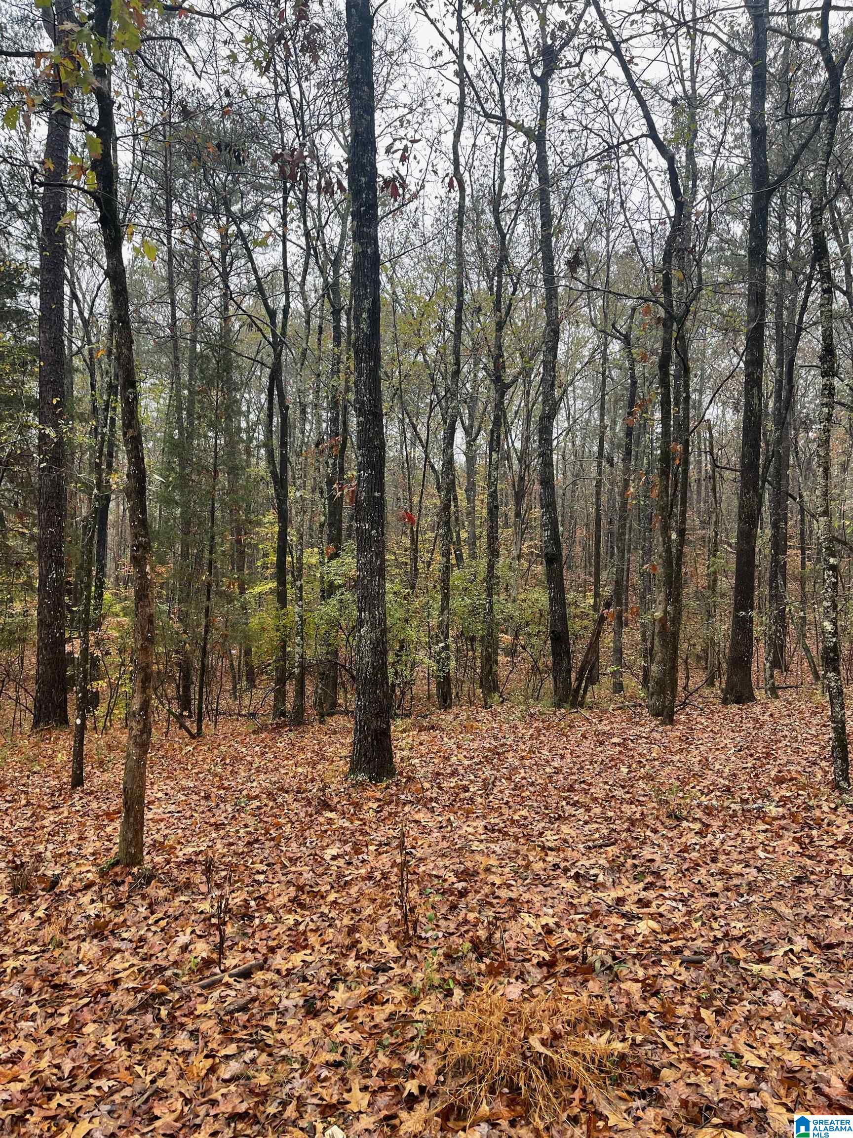20 Bear Creek Road, Unit 1 Chelsea, AL 35043 - Photo 1 of 2