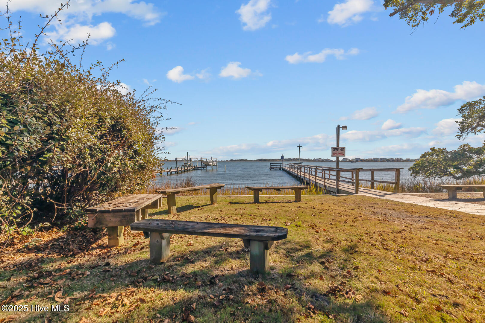 116 Shell Court Sneads Ferry, NC 28460 - Photo 58 of 69 CP5