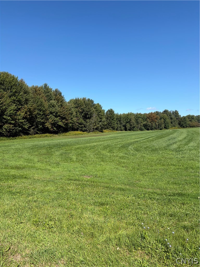 0 North Harbor Road Adams Center, NY 13606 - Photo 2 of 2 Gallery Image 2