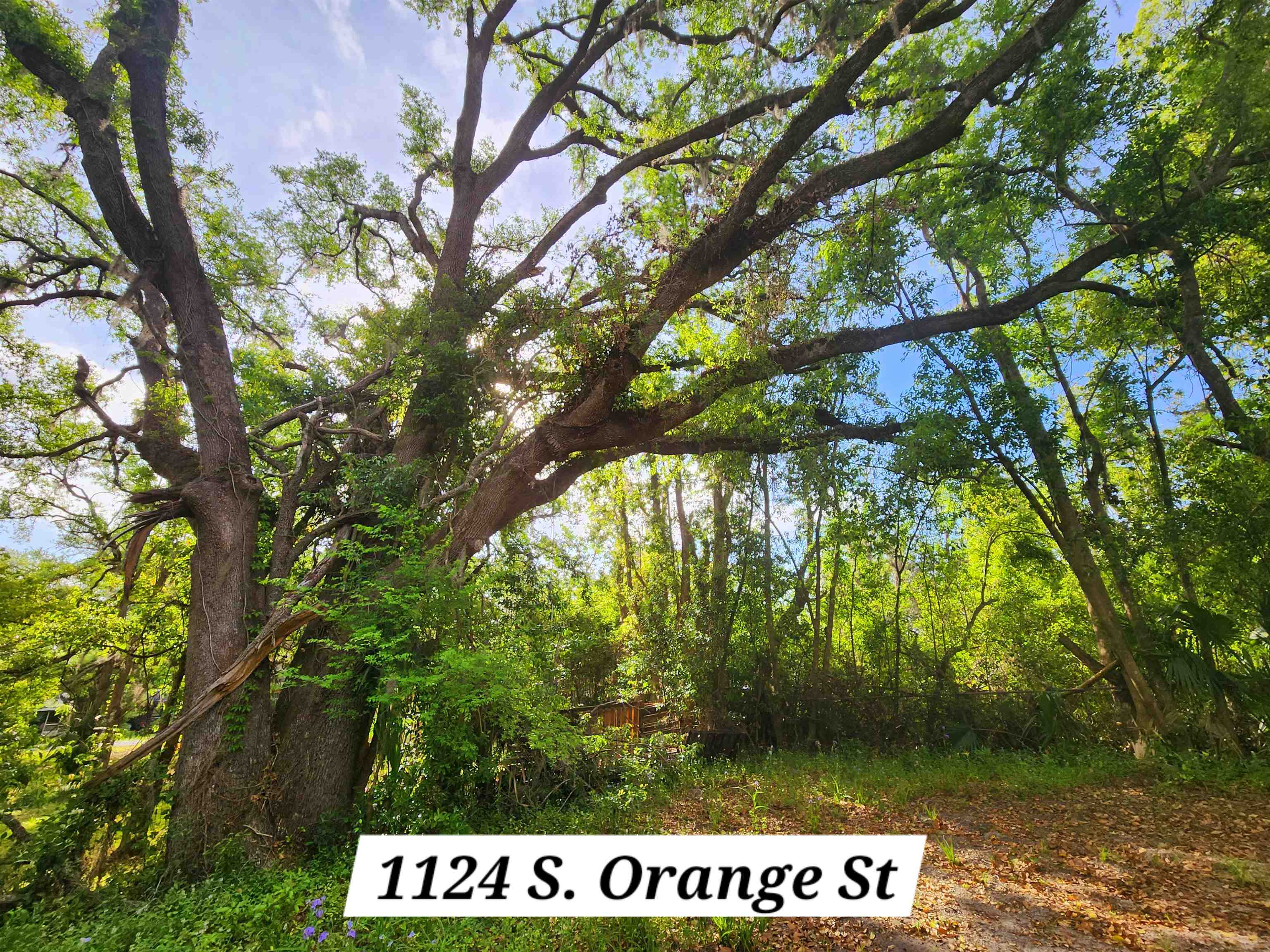 1124 South Orange Street, Unit 2 Perry, FL 32348 - Photo 30 of 43