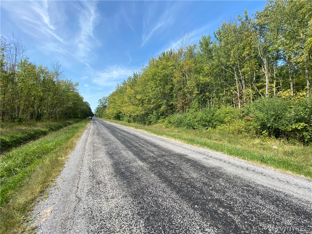 V/l Cedar Road Clarence Center, NY 14032 - Photo 1 of 1 Gallery Image 1