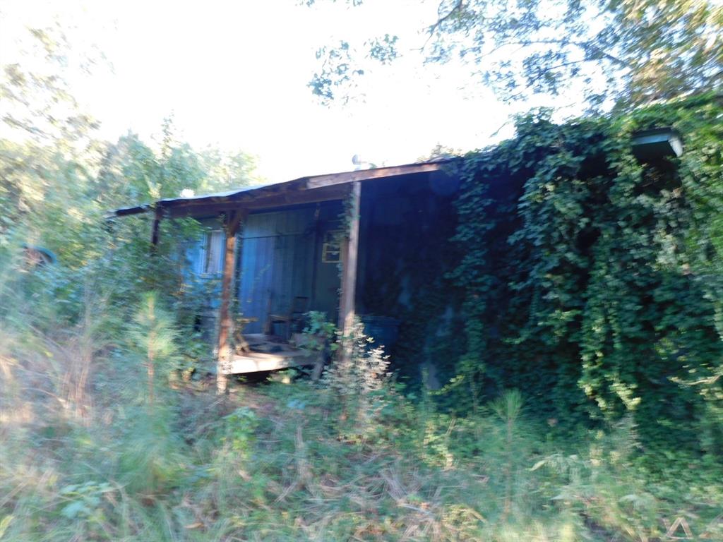 2600 Columbia 21 Road Taylor, AR 71861 - Photo 11 of 15 a backyard of a house with lots of green space