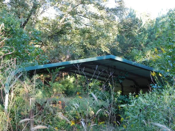 a view of a yard