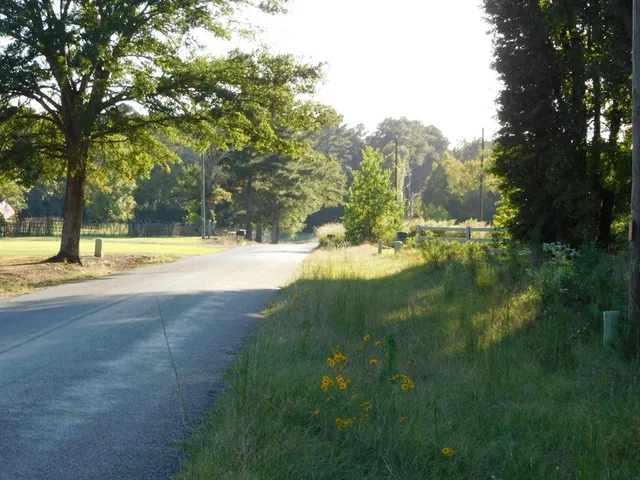 a view of yard with green space and trees