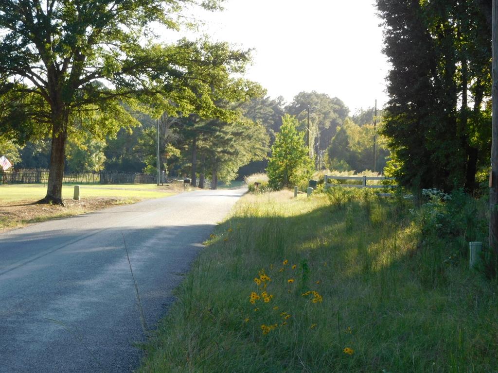 2600 Columbia 21 Road Taylor, AR 71861 - Photo 3 of 15 a view of yard with green space and trees