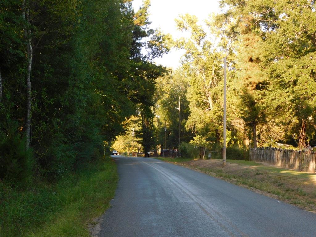 2600 Columbia 21 Road Taylor, AR 71861 - Photo 4 of 15 a view of outdoor space and yard
