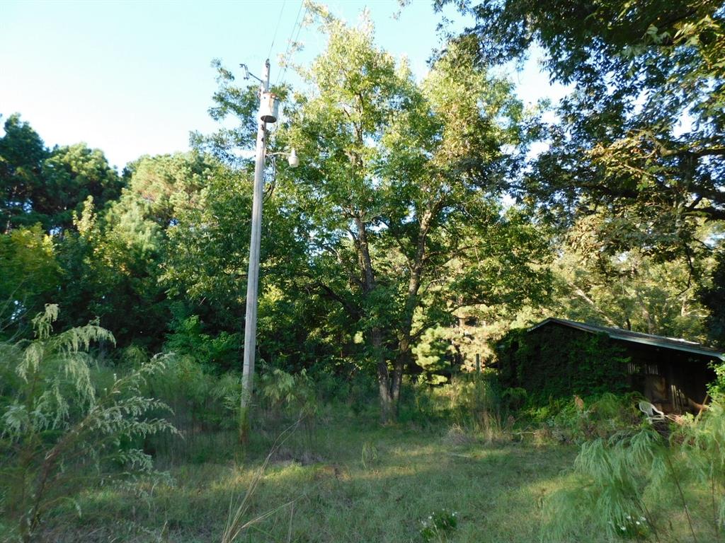 2600 Columbia 21 Road Taylor, AR 71861 - Photo 8 of 15 a view of a lush green forest