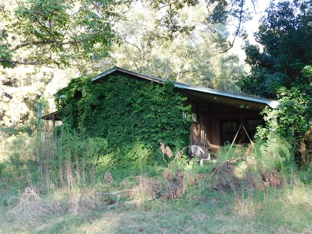 a backyard of a house with lots of green space