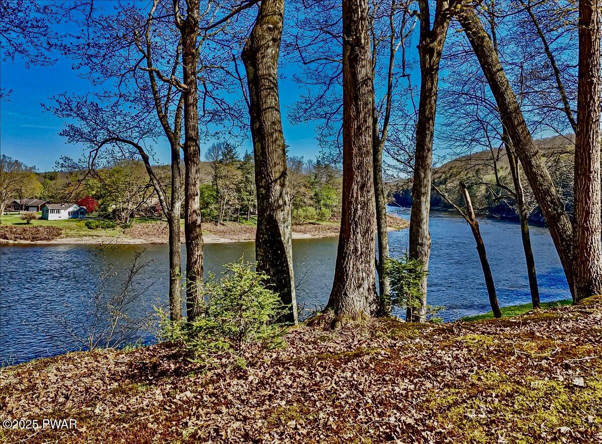 564 A Peggy Runway Road Beach Lake, PA 18405 - Photo 7 of 66