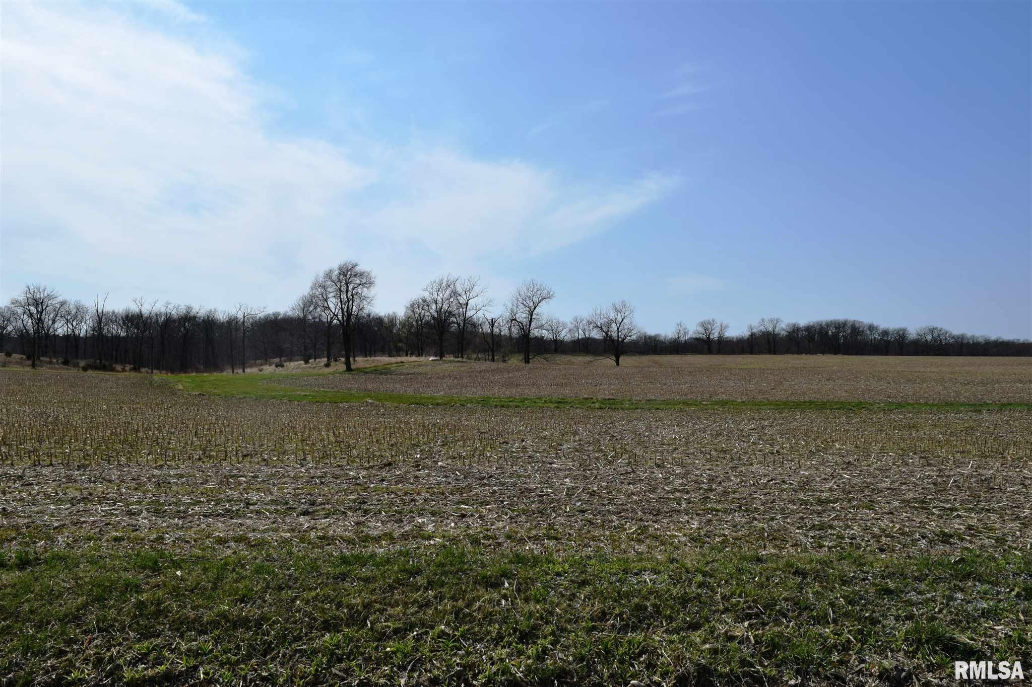20-acres 20-acres Rio Township Road Rio, IL 61472 - Photo 2 of 4 Gallery Image 2