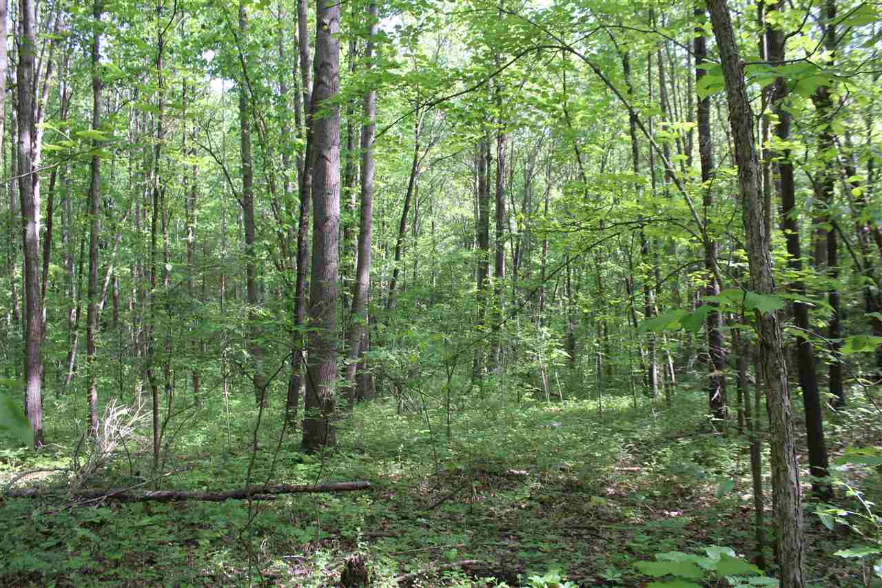 0 Goodrum Road Bowling Green, KY 42104 - Photo 11 of 12 Gallery Image 11