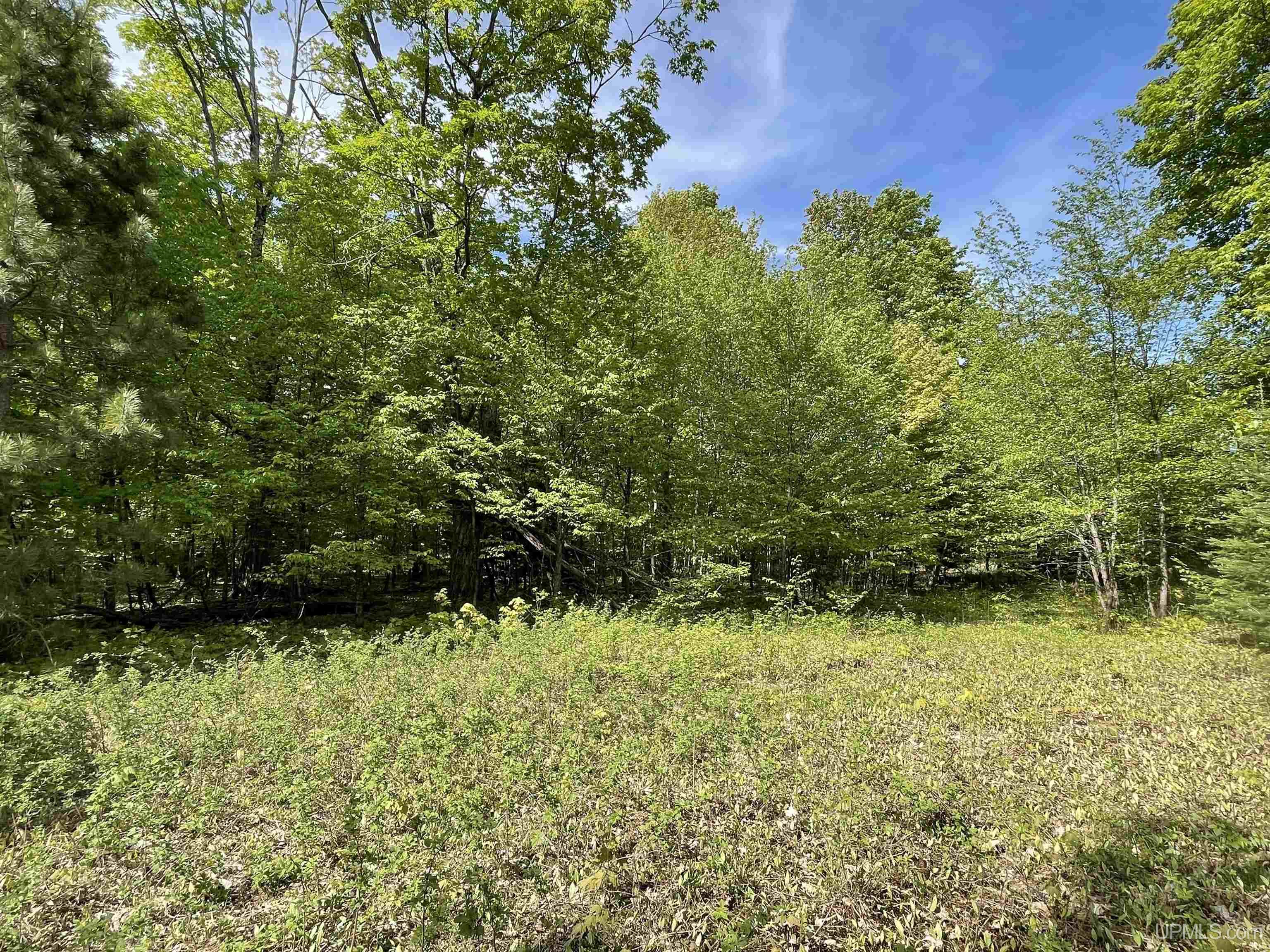 4855 N Camp 23 Road Germfask, MI 49836 - Photo 2 of 28