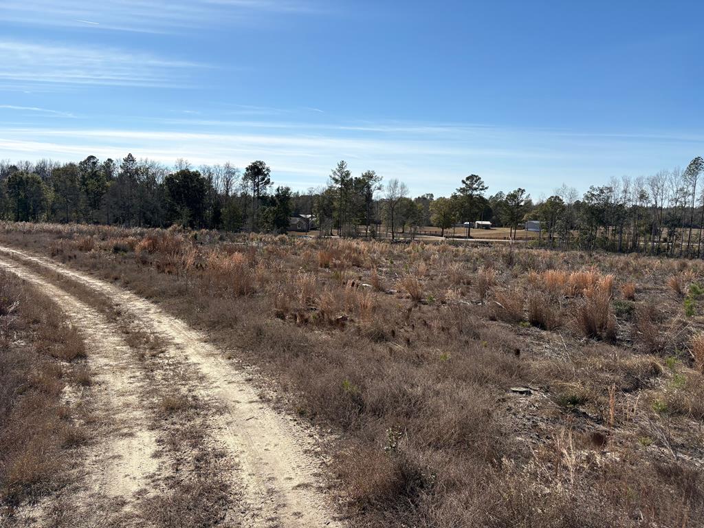 87 Samson Al Samson, AL 36477 - Photo 5 of 22 Parcel "F" south west view towards Hwy 87.