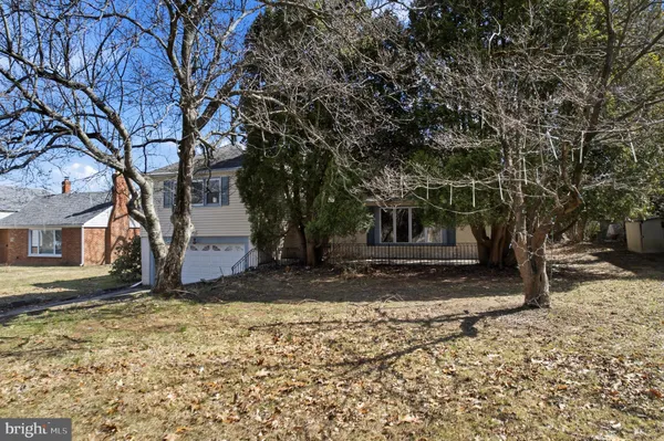 a tree in the middle of a yard