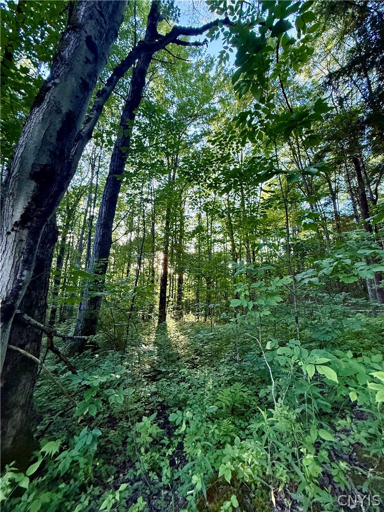 9191 Furman Mills Road Brookfield, NY 13460 - Photo 20 of 30